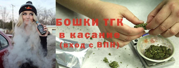 бошки Верхний Тагил