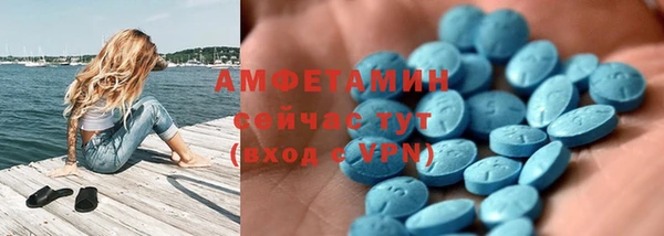 МДПВ Бородино
