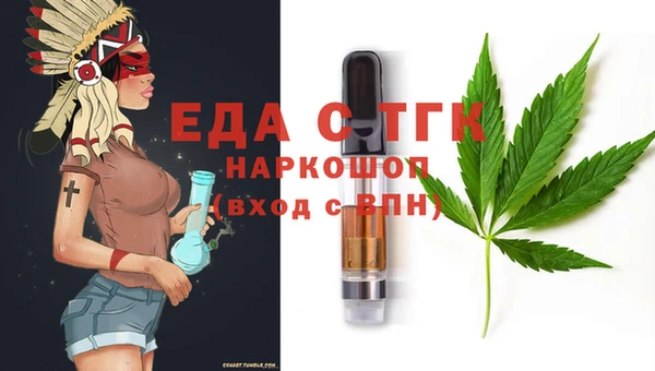 МДПВ Бородино