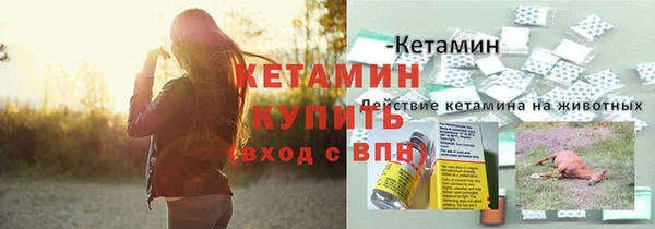 МДПВ Бородино