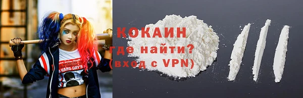 МДПВ Бородино
