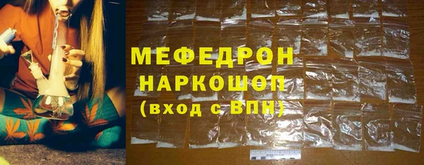 МДПВ Бородино