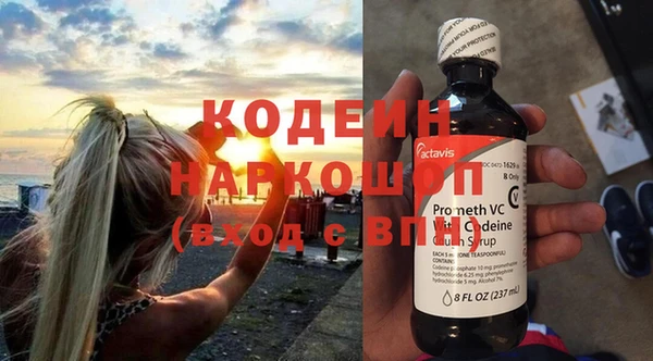 МДПВ Бородино