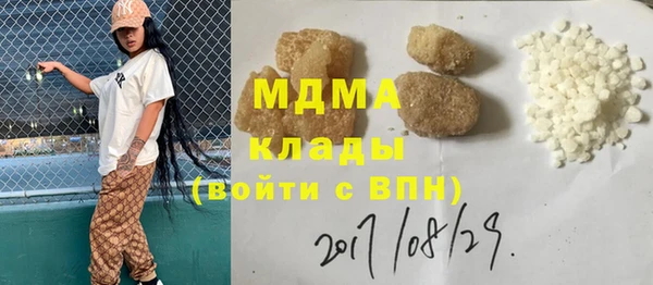 МДПВ Бородино