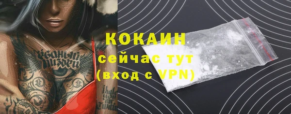 МДПВ Бородино